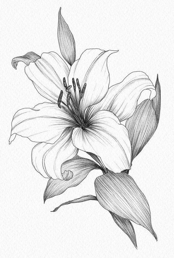 lily tattoo ideas 0020