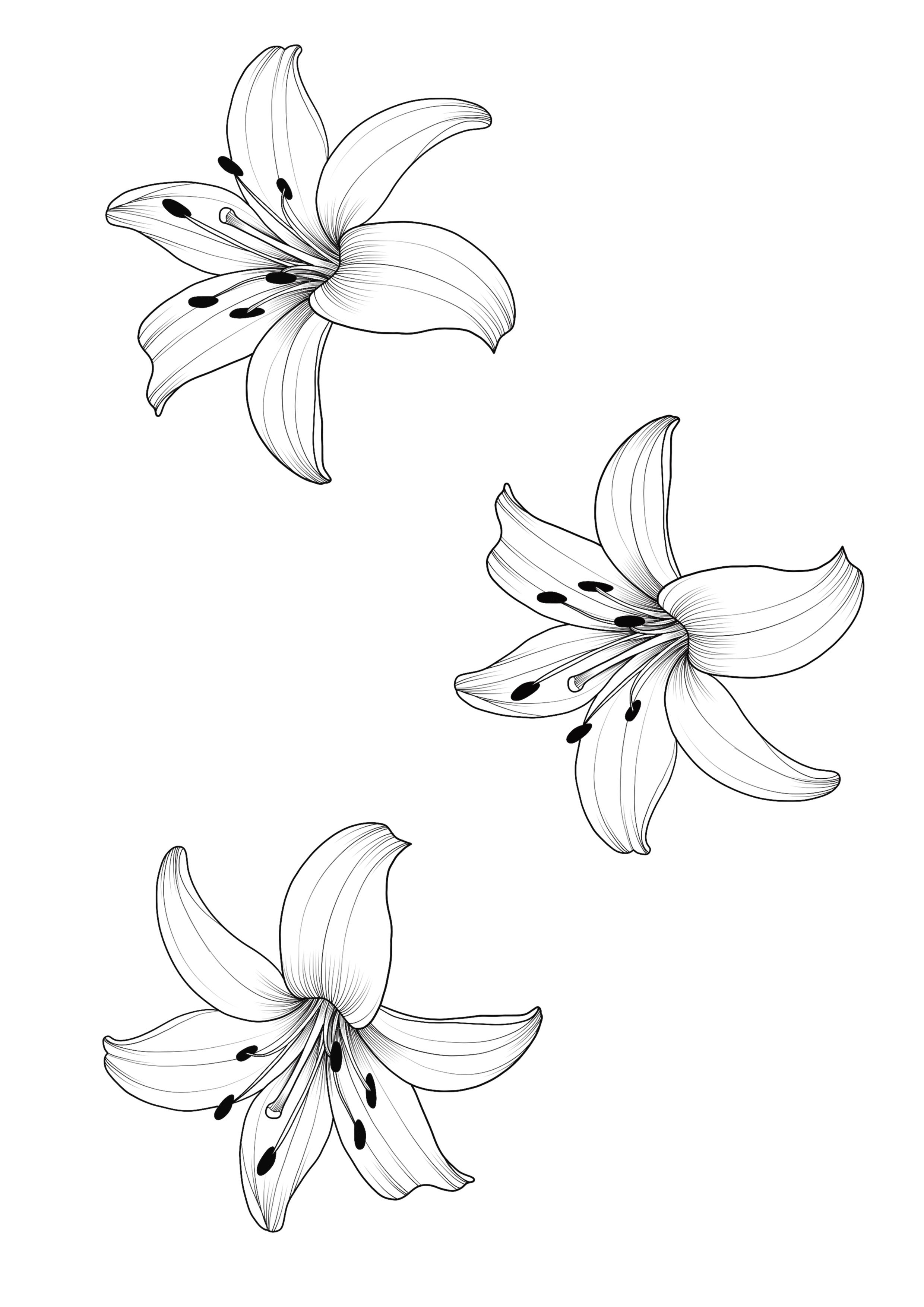 lily tattoo ideas 0028