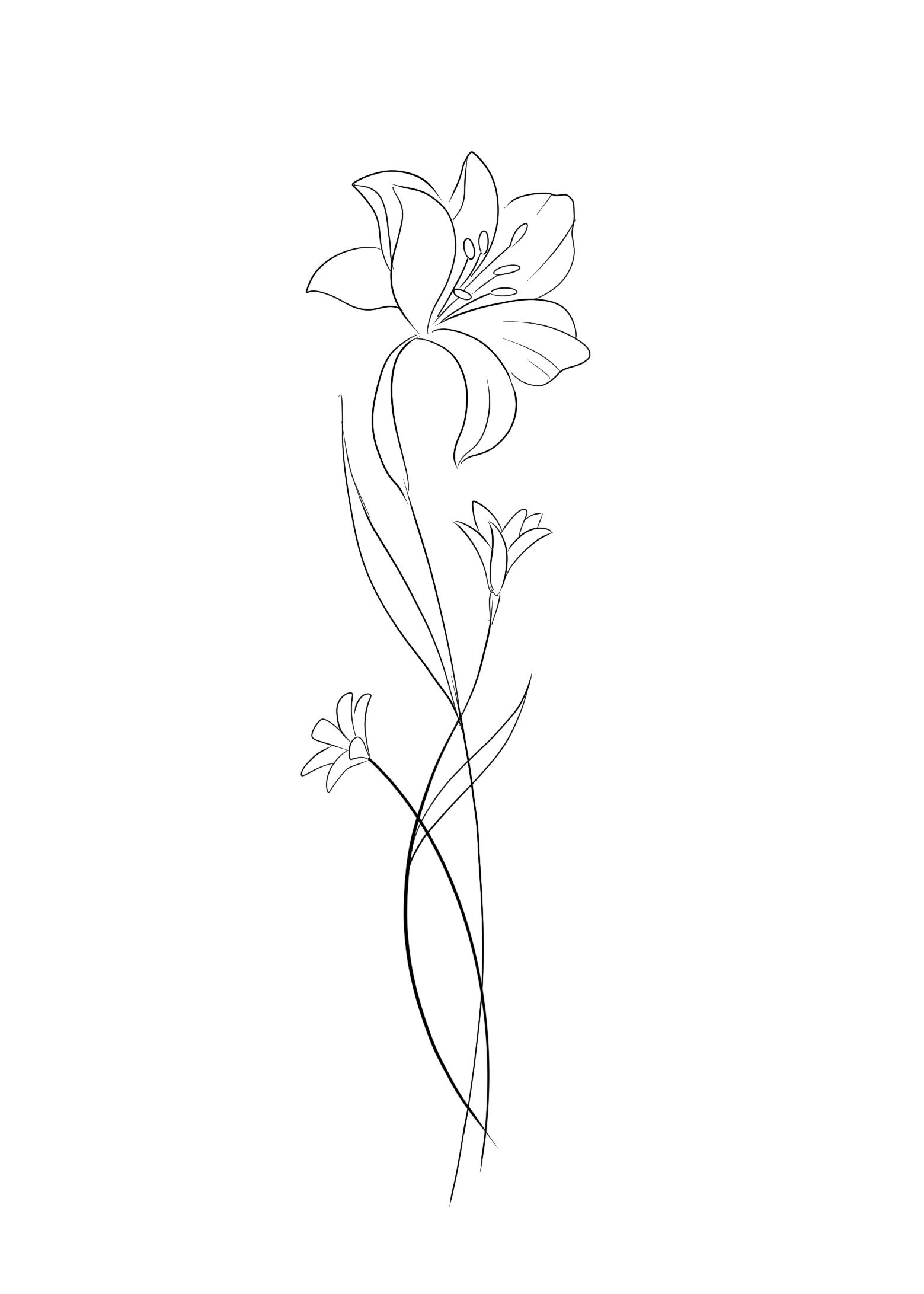 lily tattoo ideas 0034