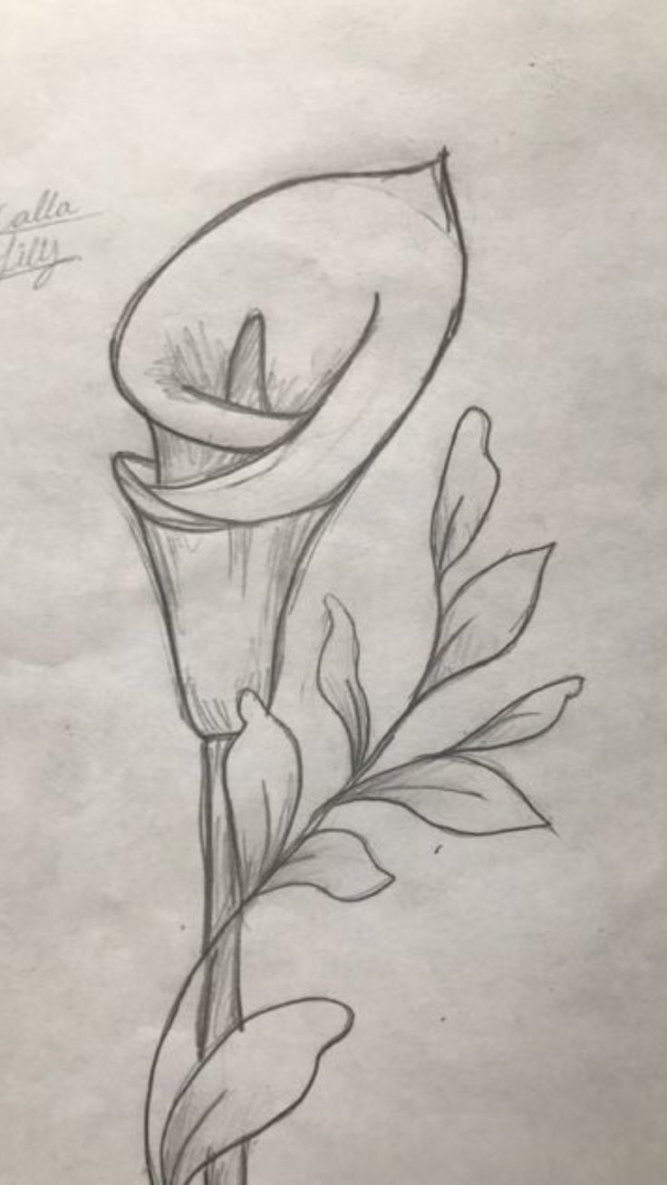 lily tattoo ideas 0041