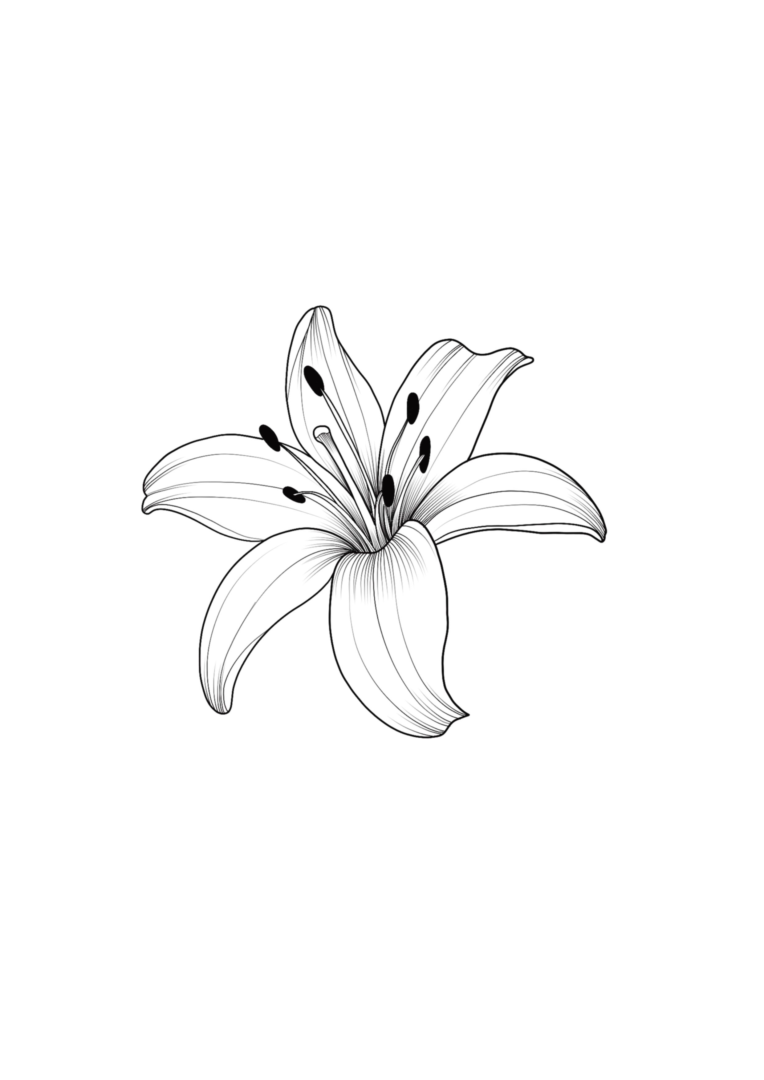 lily tattoo ideas 0043