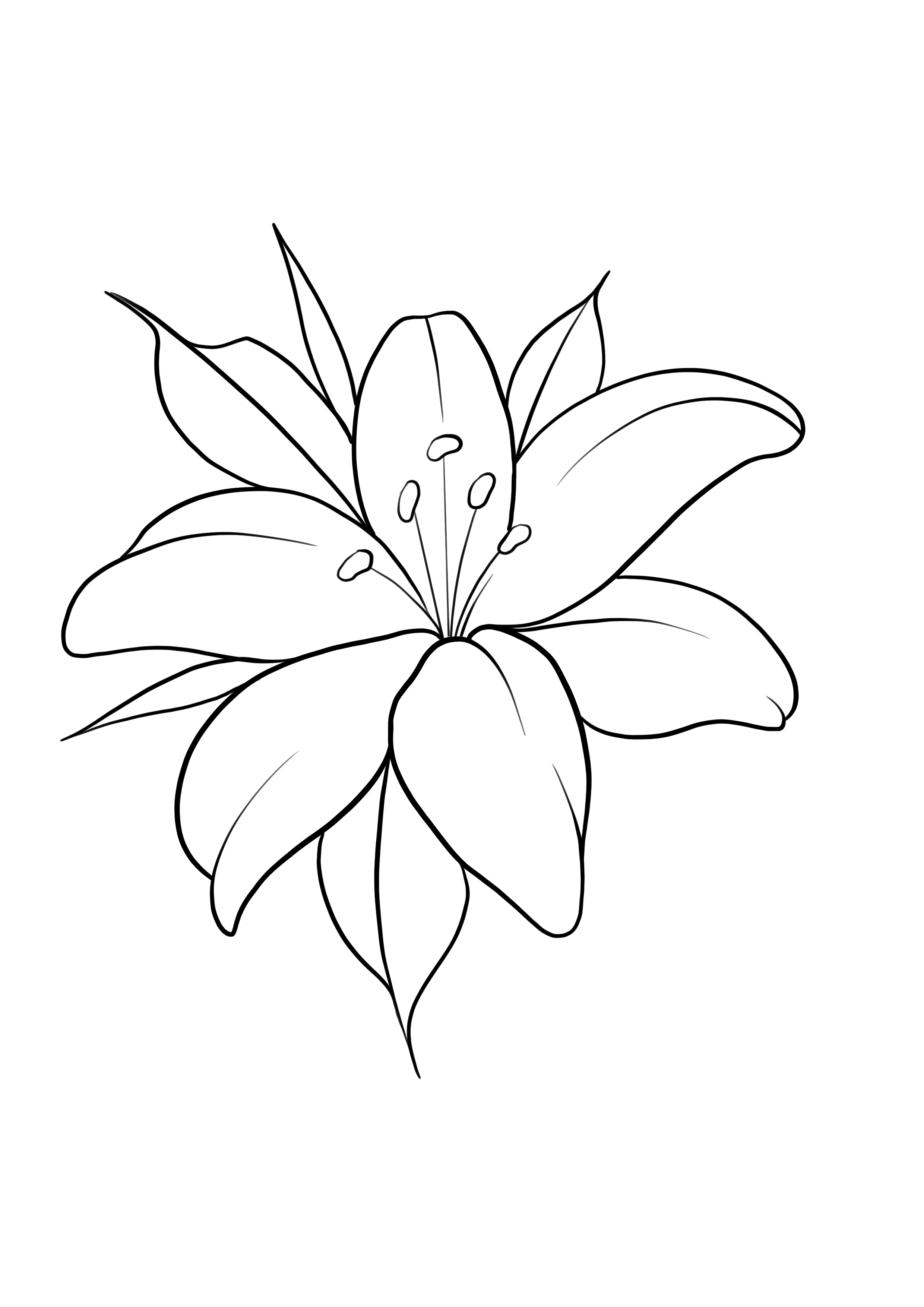 lily tattoo ideas 0046