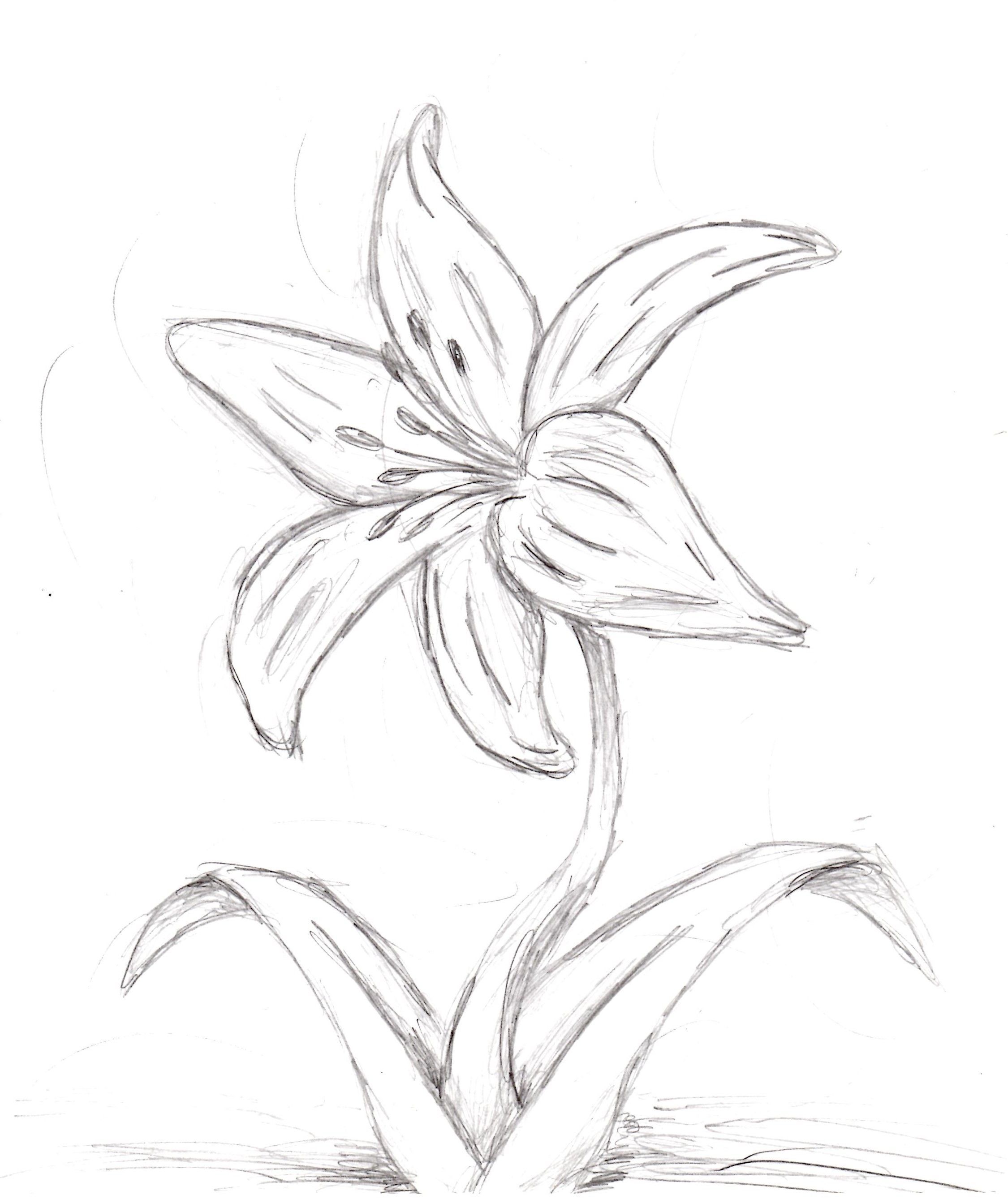 lily tattoo ideas 0047