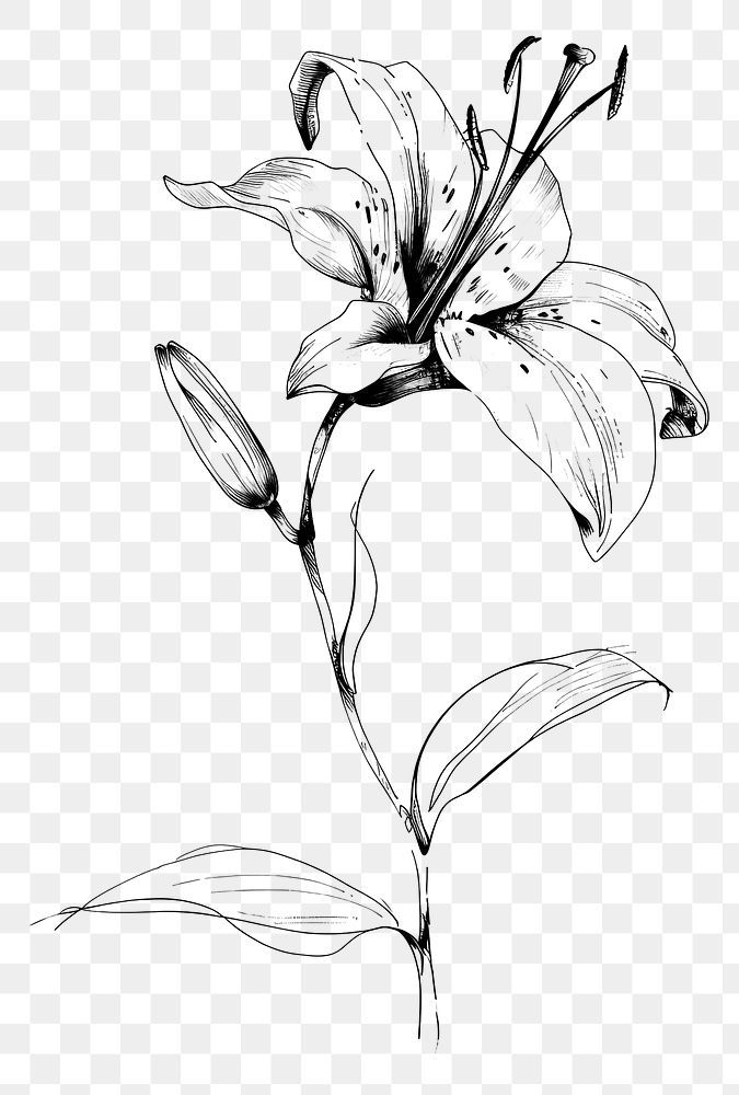 lily tattoo ideas 0061