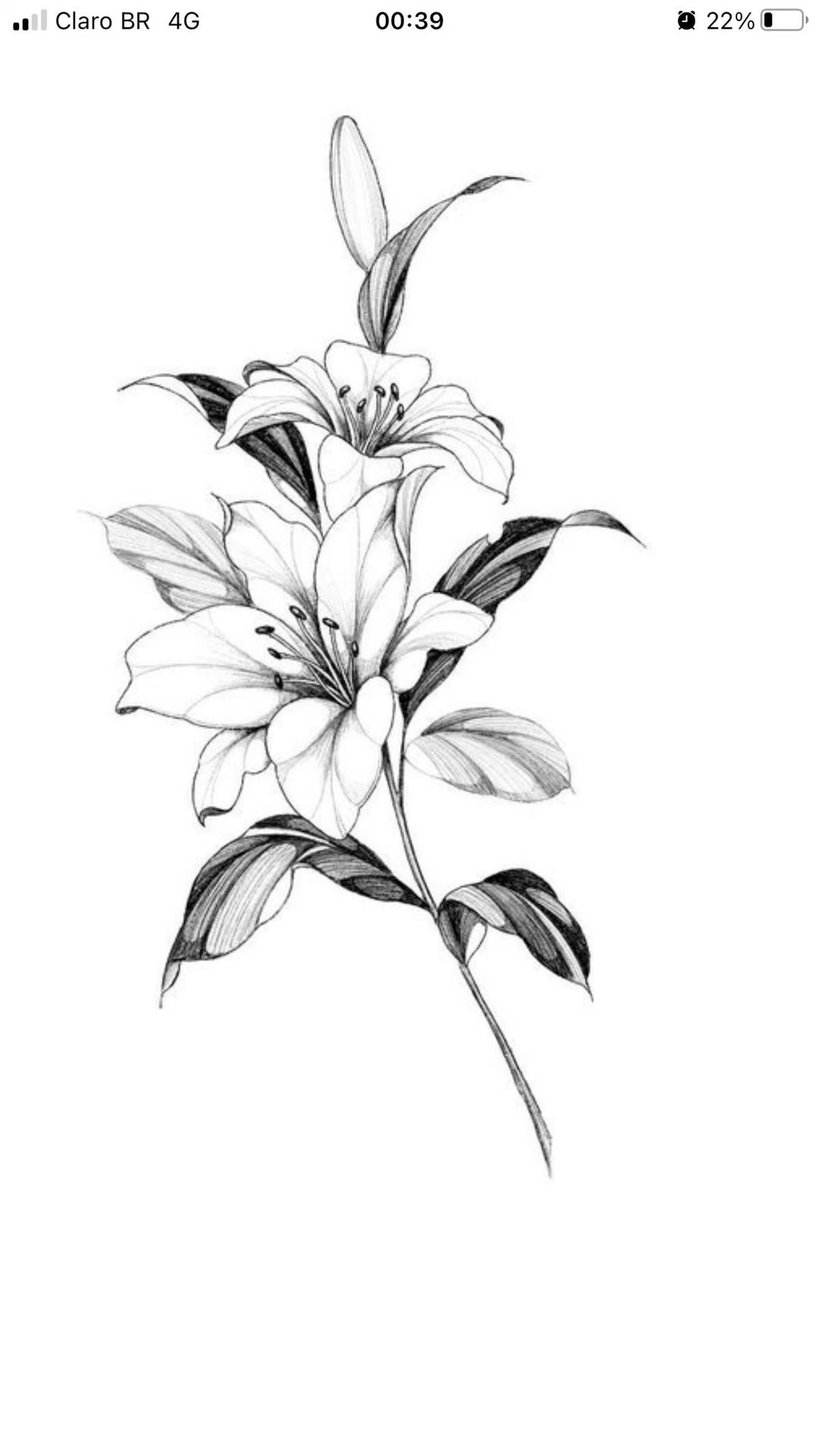 lily tattoo ideas 0070