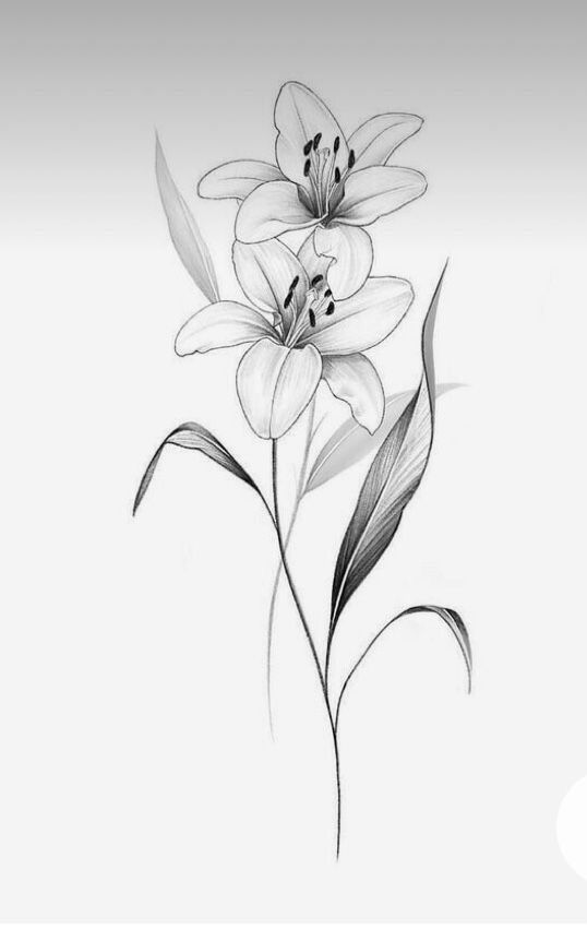 lily tattoo ideas 0071