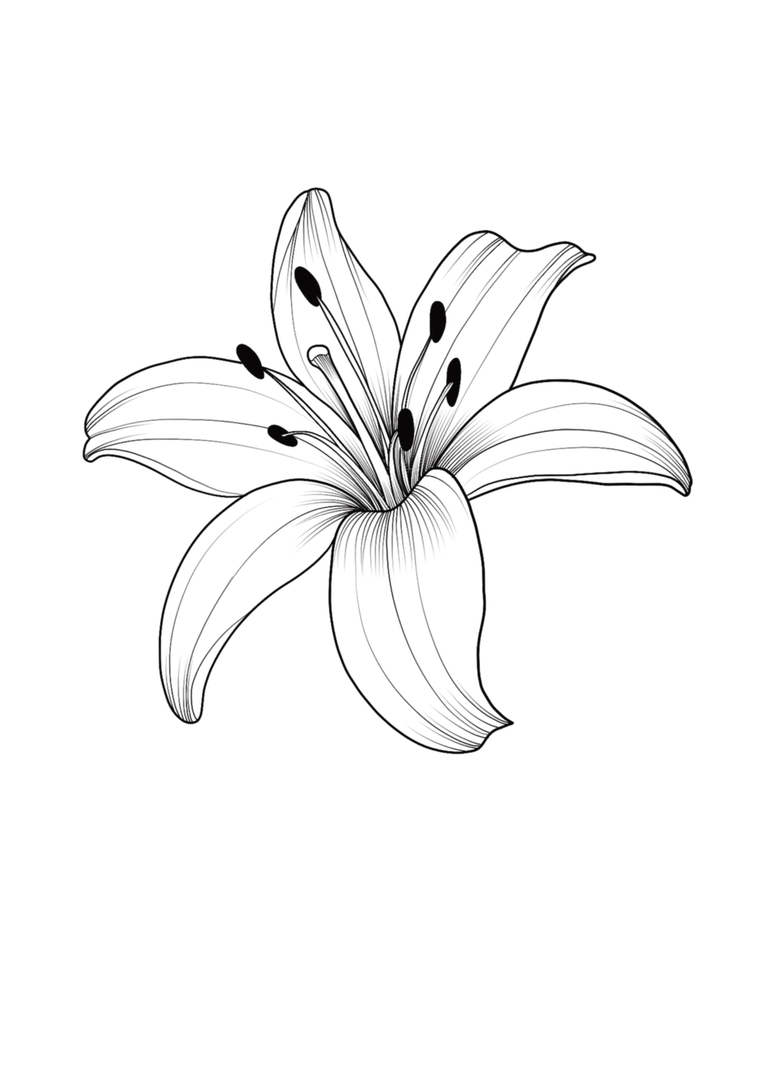 lily tattoo ideas 0072