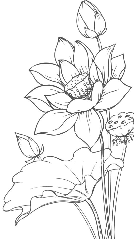 lily tattoo ideas 0081