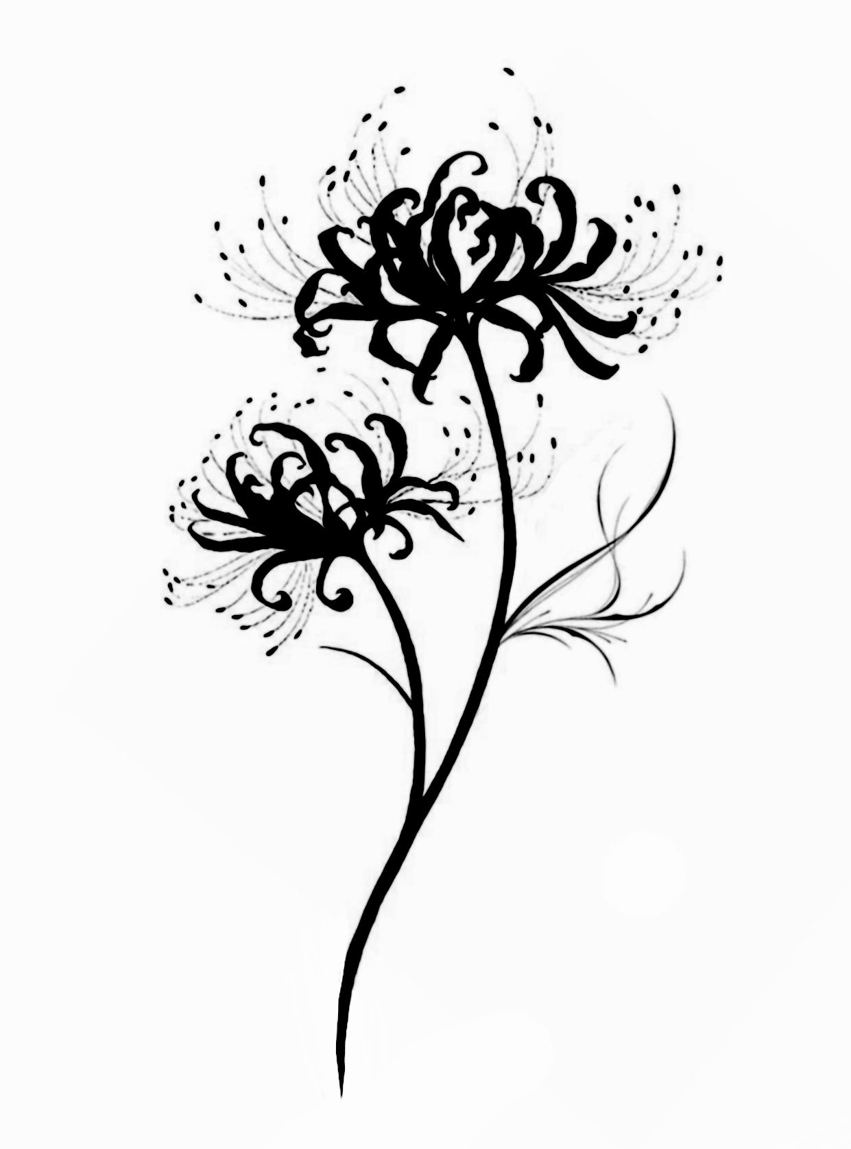 lily tattoo ideas 0088