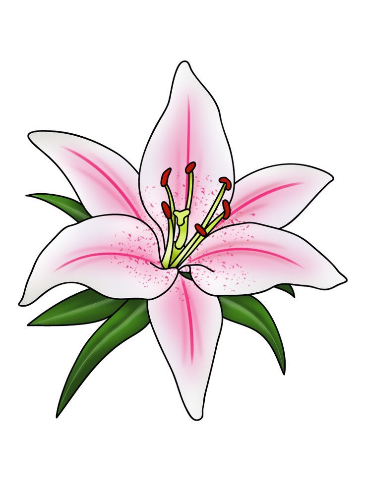 lily tattoo ideas 0098