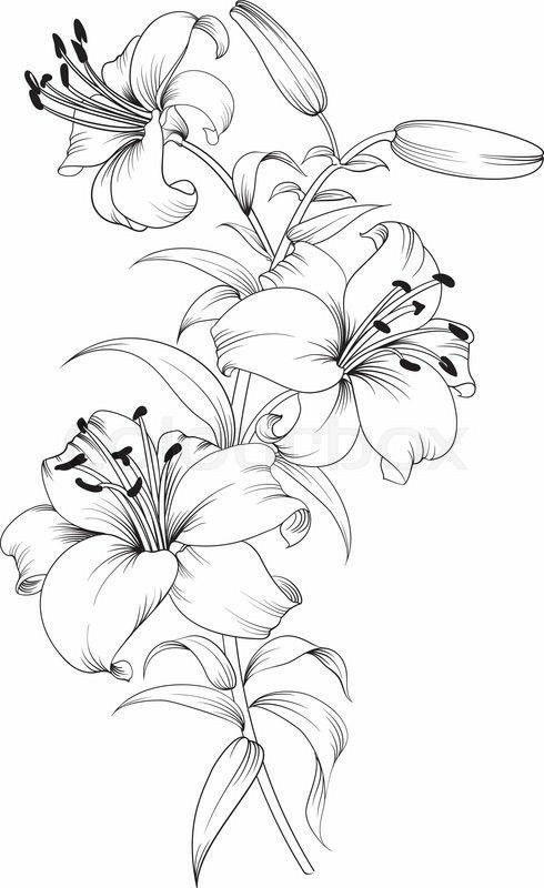 lily tattoo ideas 0099