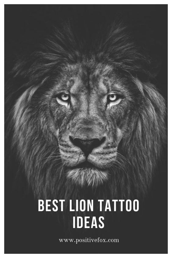 lion tattoo ideas 0015