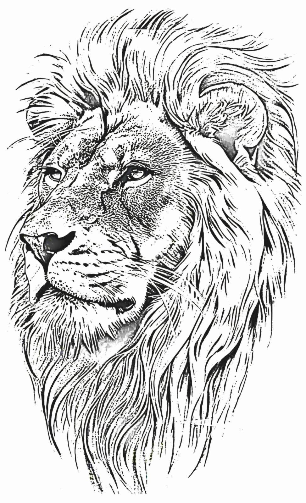 lion tattoo ideas 0028