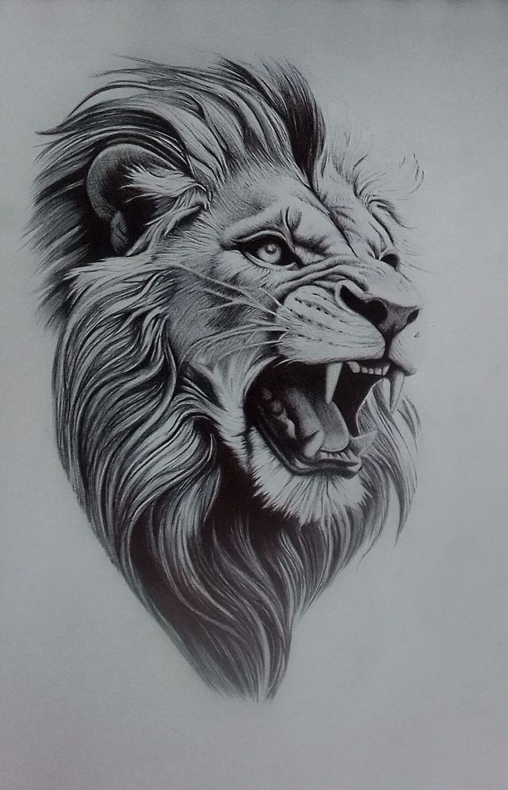 lion tattoo ideas 0045