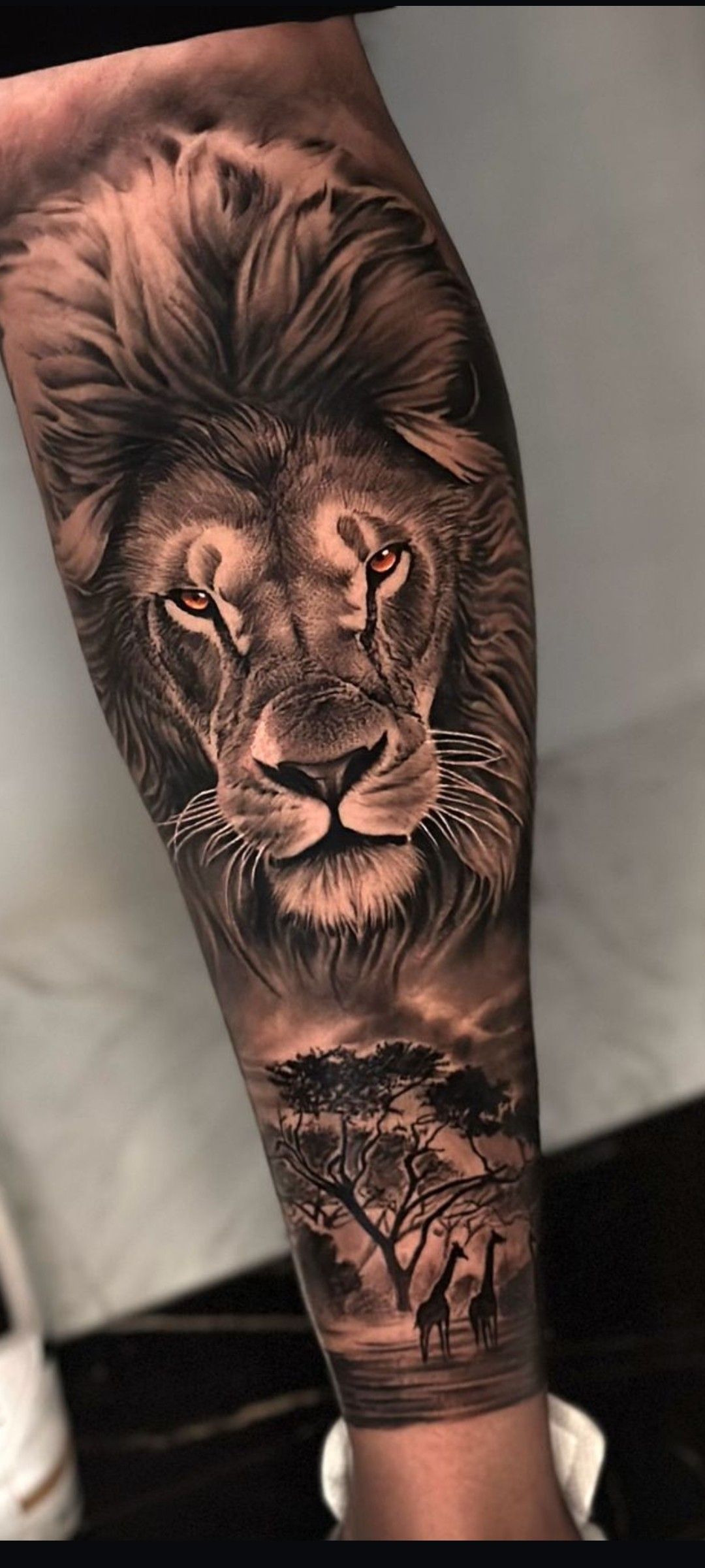 lion tattoo ideas 0076