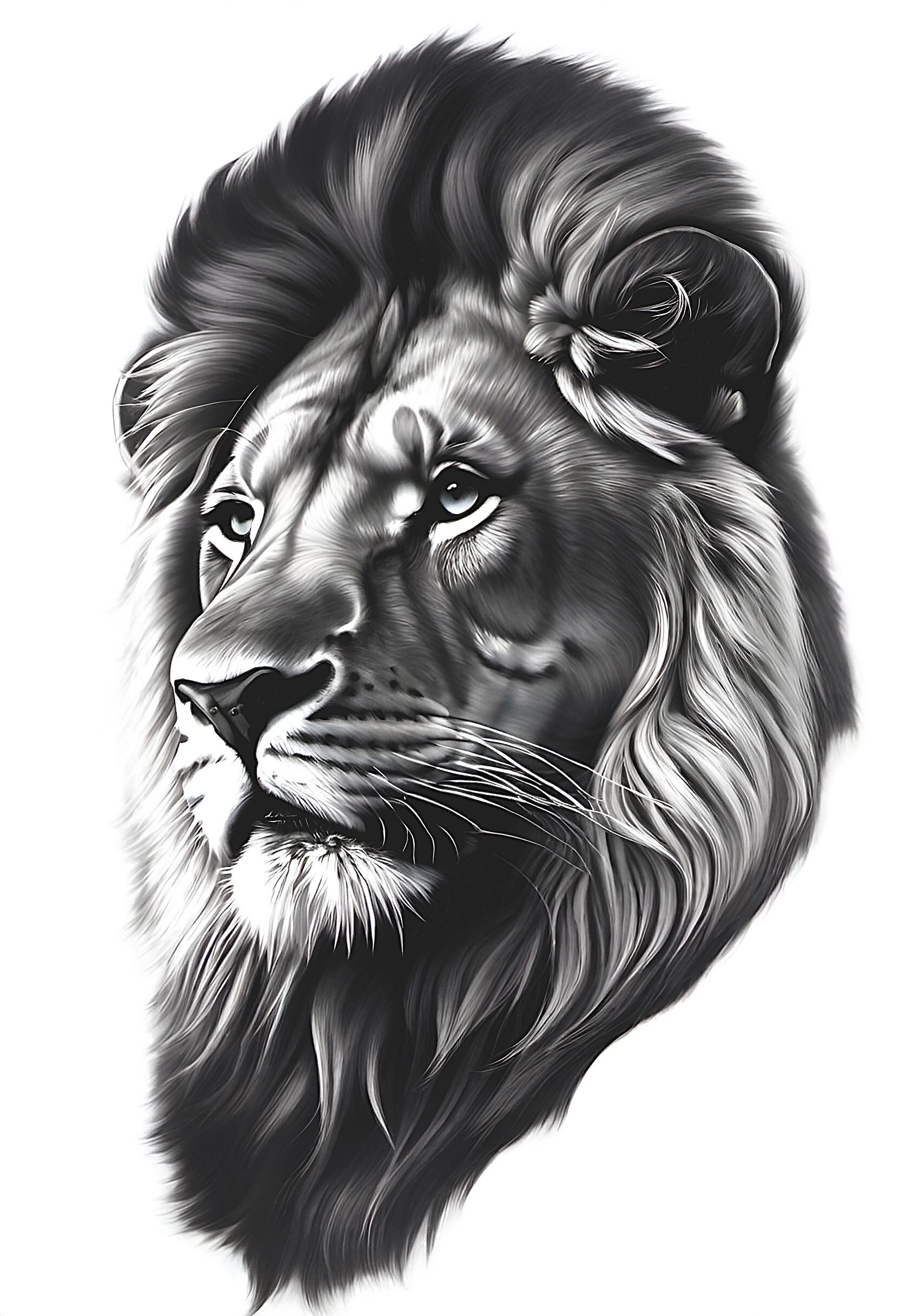 lion tattoo ideas 0029