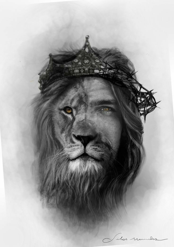 lion tattoo ideas 0054