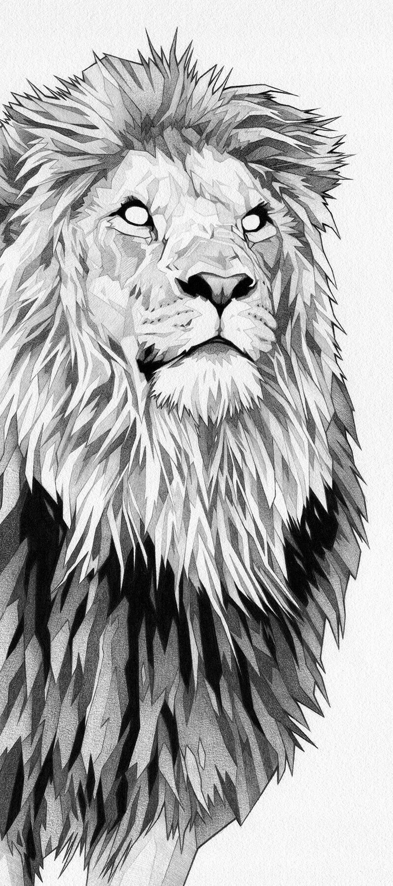 lion tattoo ideas 0084