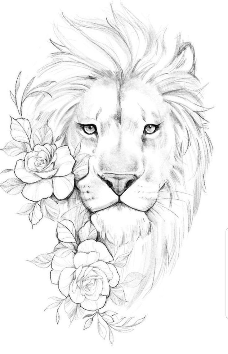 lion tattoo ideas 0093