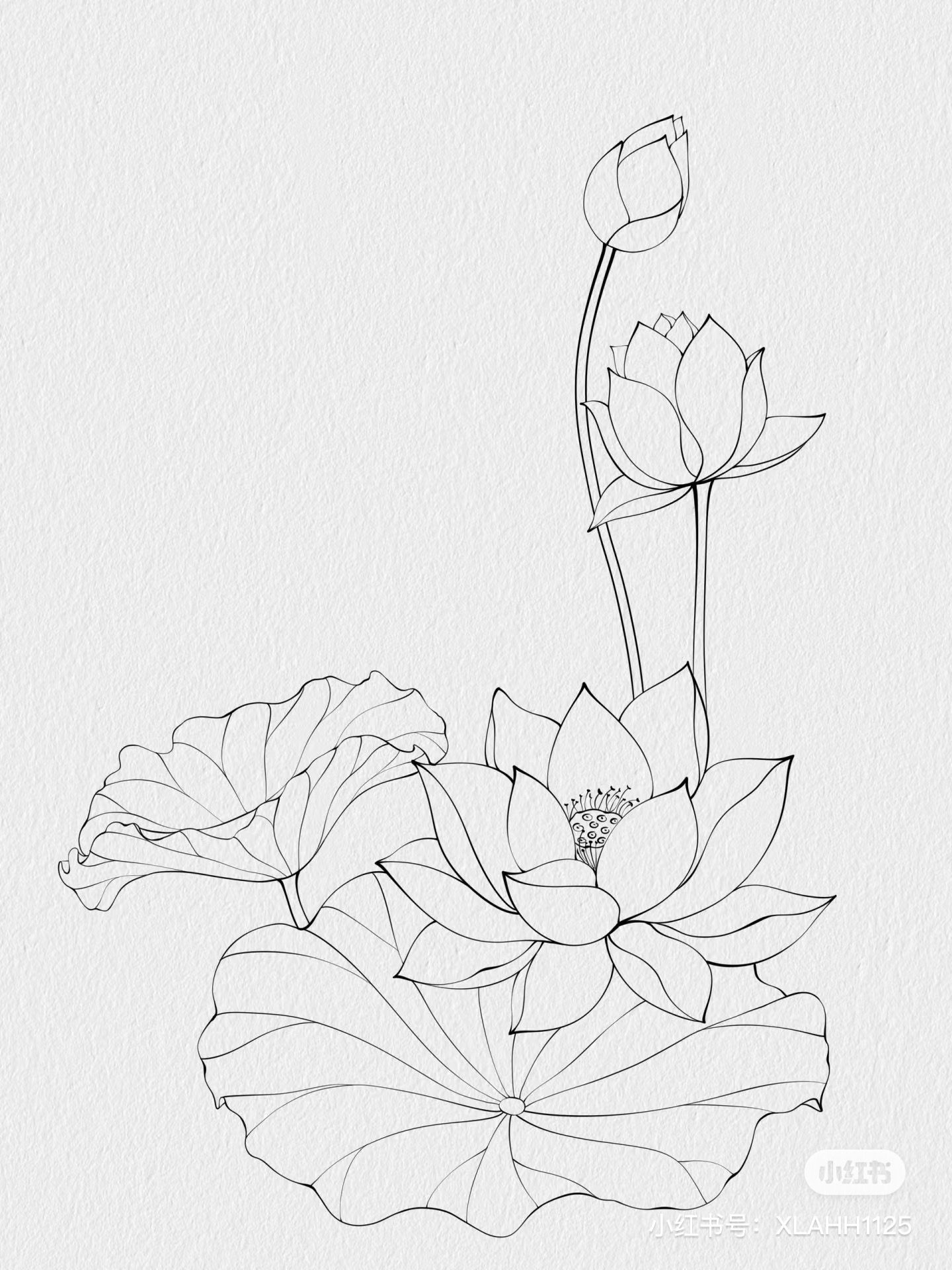 lotus tattoo ideas 0010