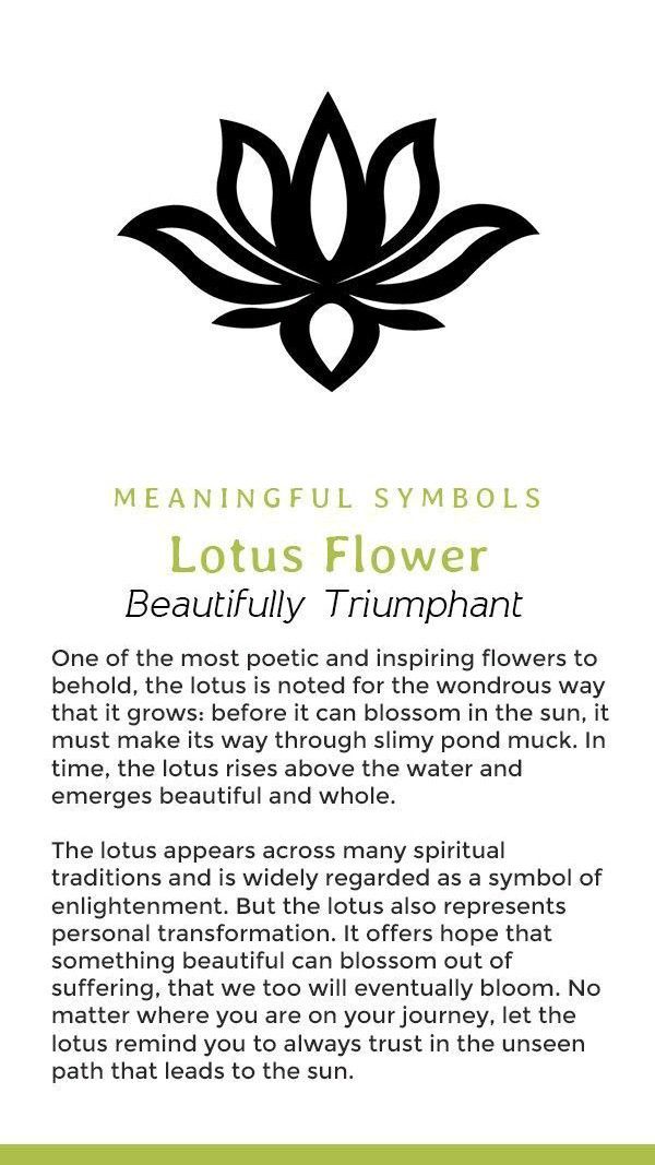 lotus tattoo ideas 0012