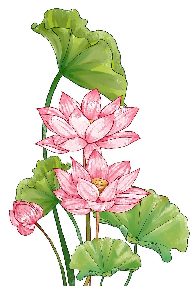 lotus tattoo ideas 0040