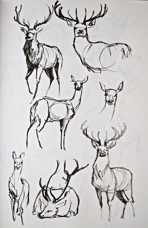 meaningful small deer tattoo images