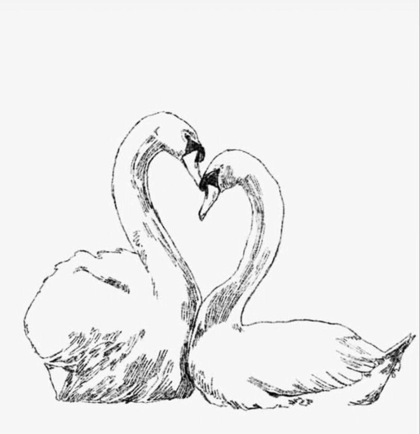 meaningful swan tattoo ideas