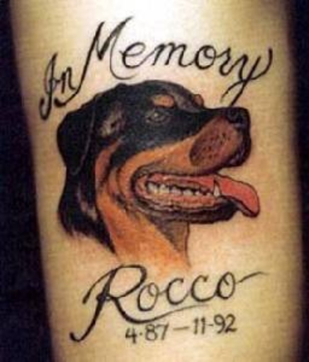 memorial dog tattoo ideas 0033