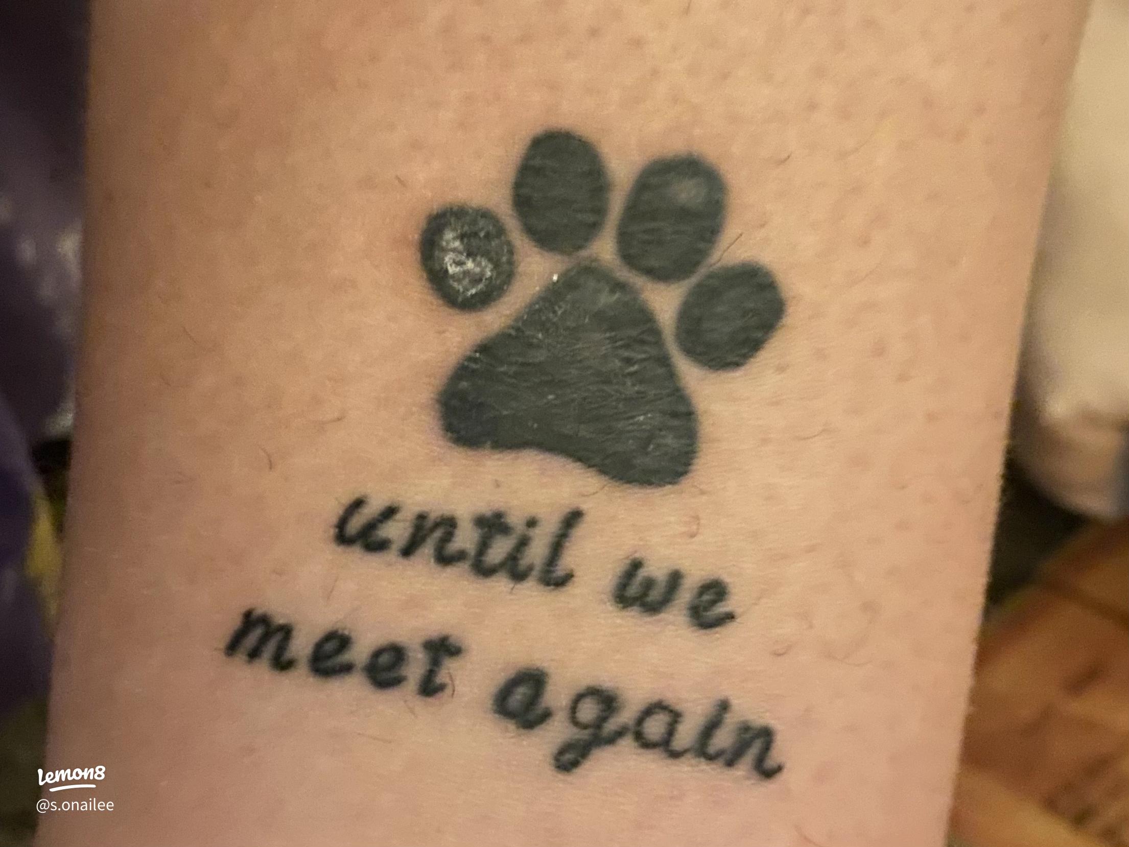 memorial dog tattoo ideas 0052