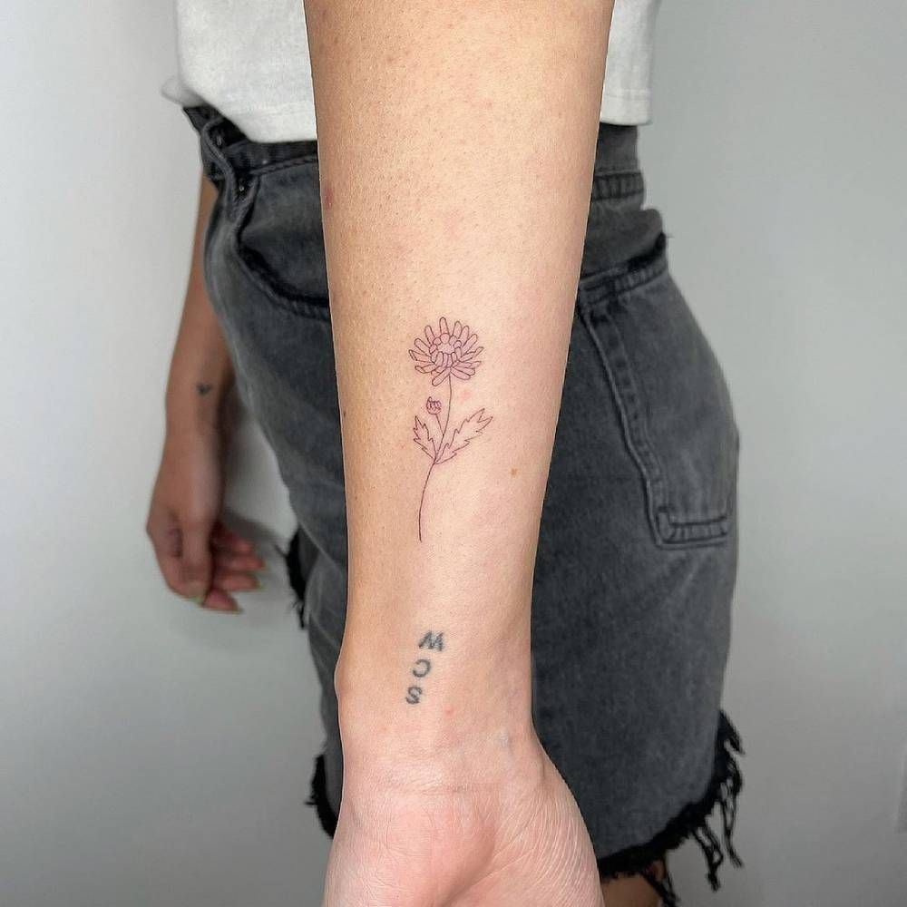 Minimalist chrysanthemum tattoo styles