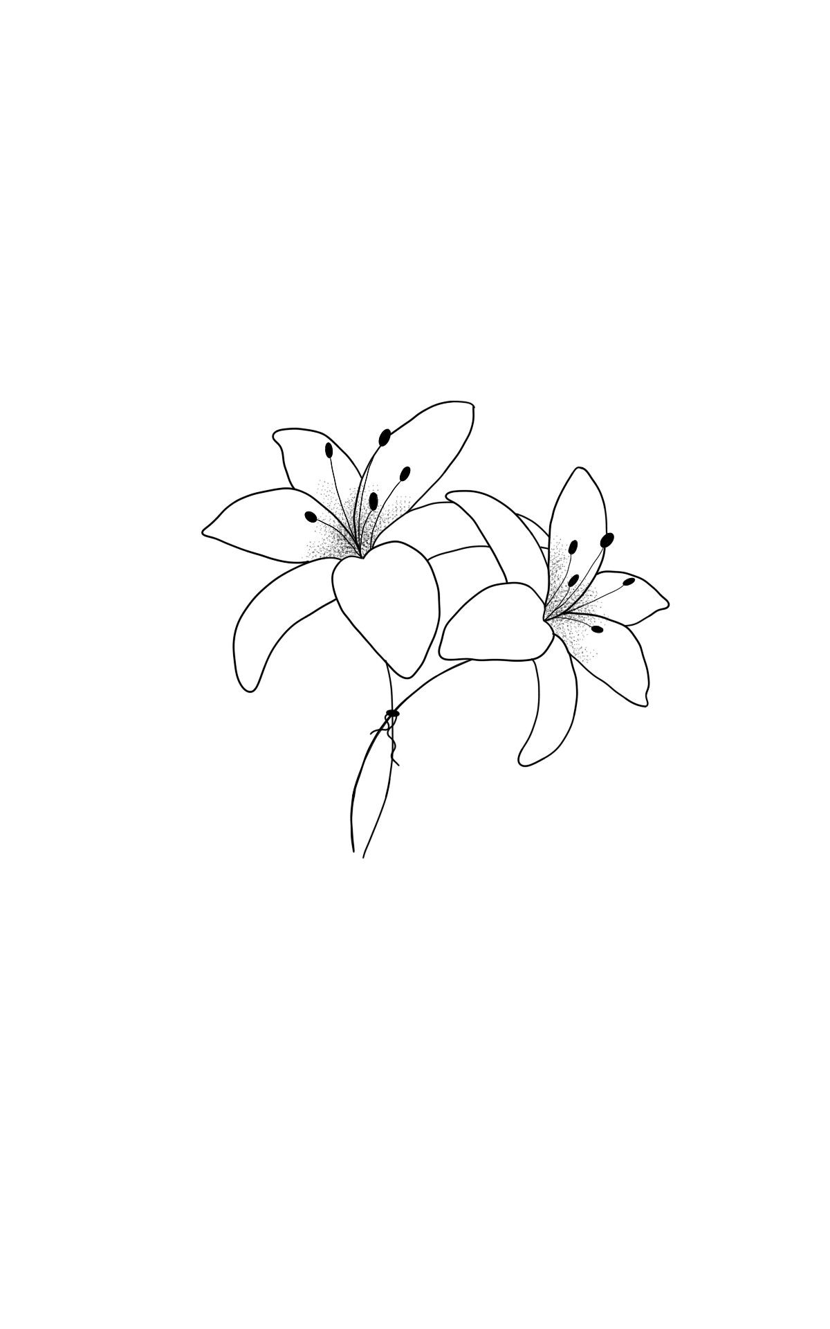 Minimalist lily tattoo small 0023