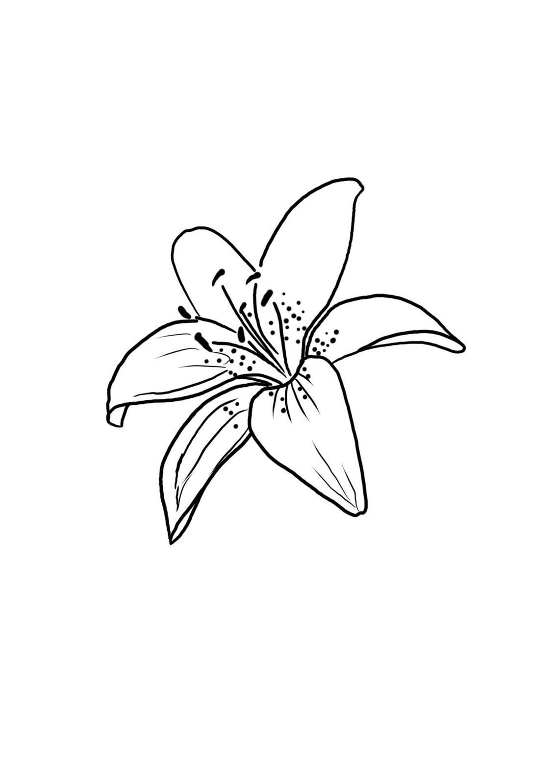 Minimalist lily tattoo small 0024