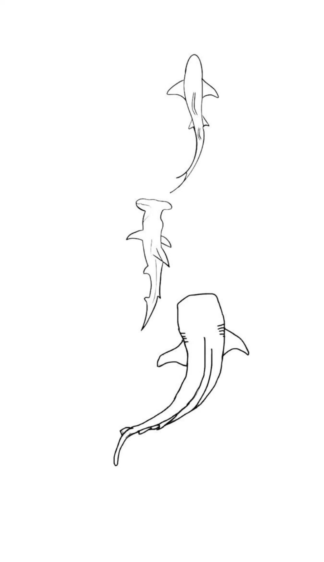 minimalist shark tattoo ideas