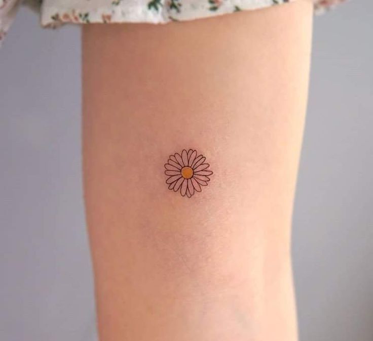 minimalist small daisy tattoo styles