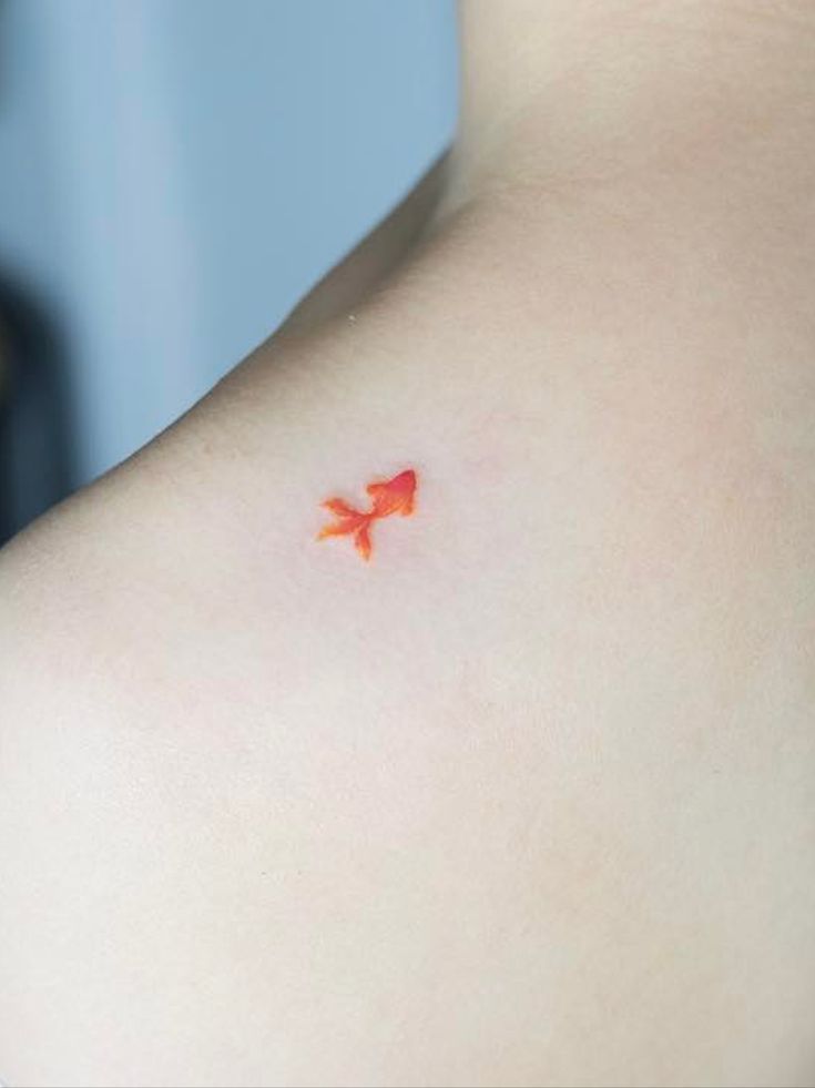 minimalist small koi fish tattoo 0044