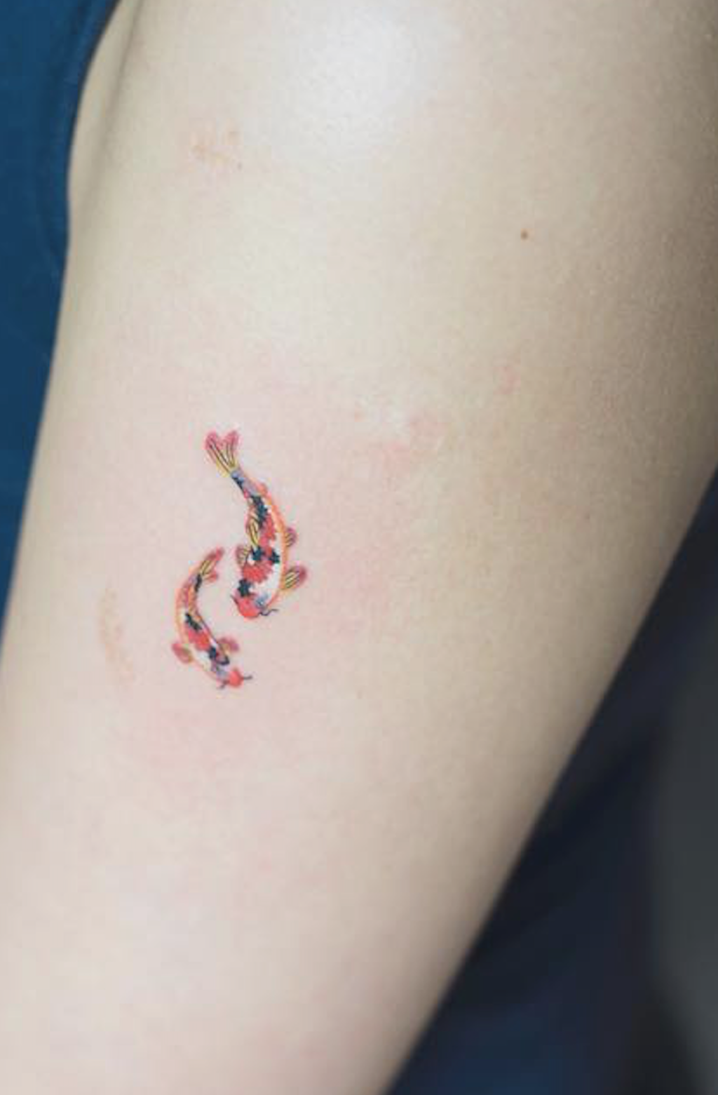 minimalist small koi fish tattoo 0047