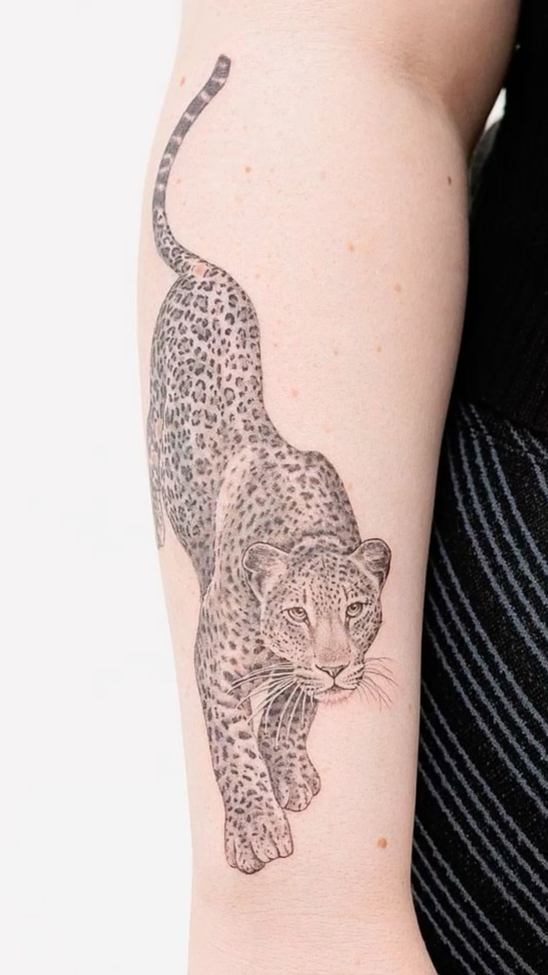 minimalist small tiger tattoo 0055