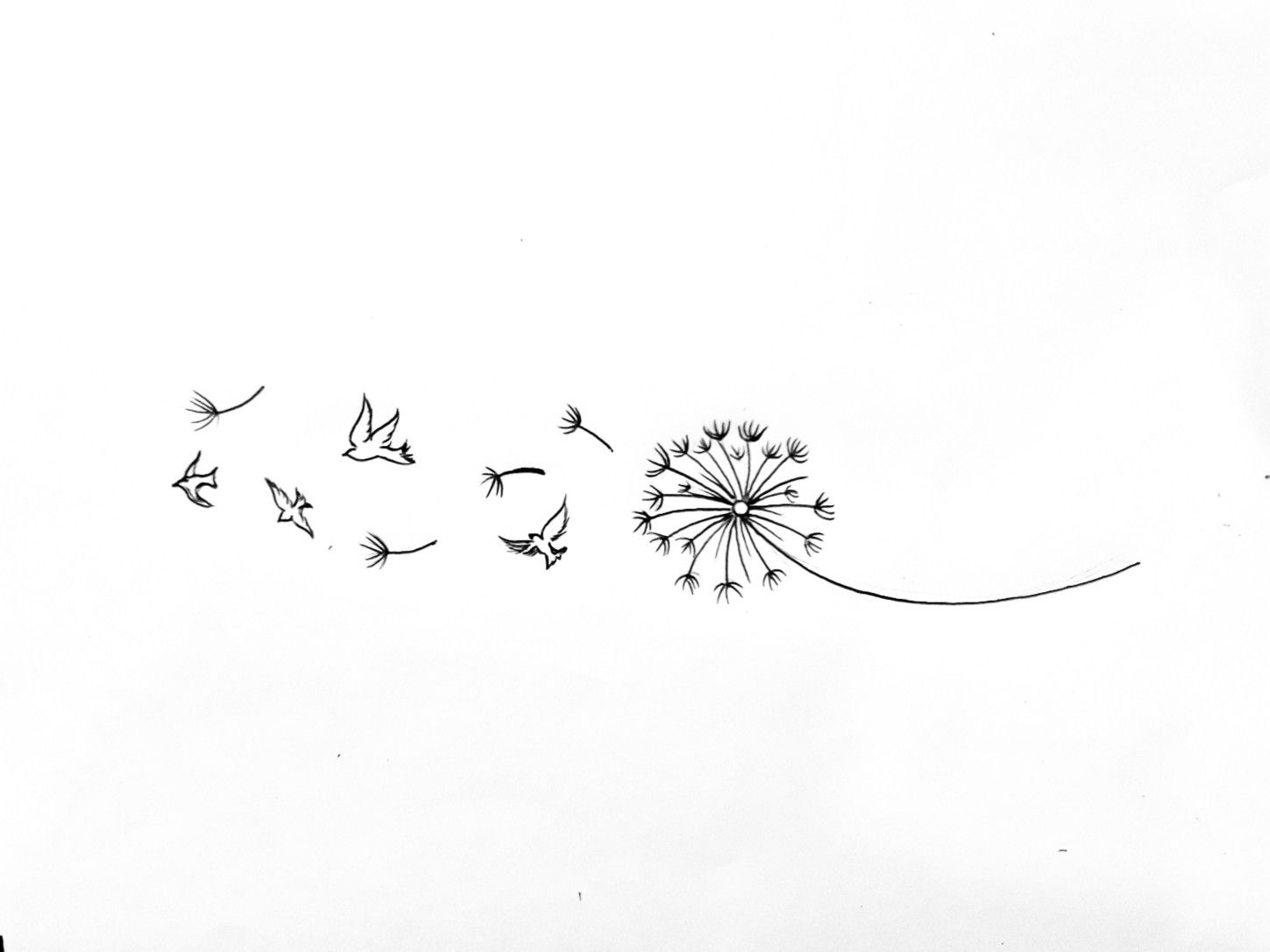 minimalistic small dandelion tattoo designs