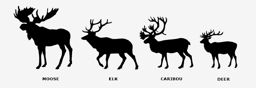 Moose tattoo ideas 0065