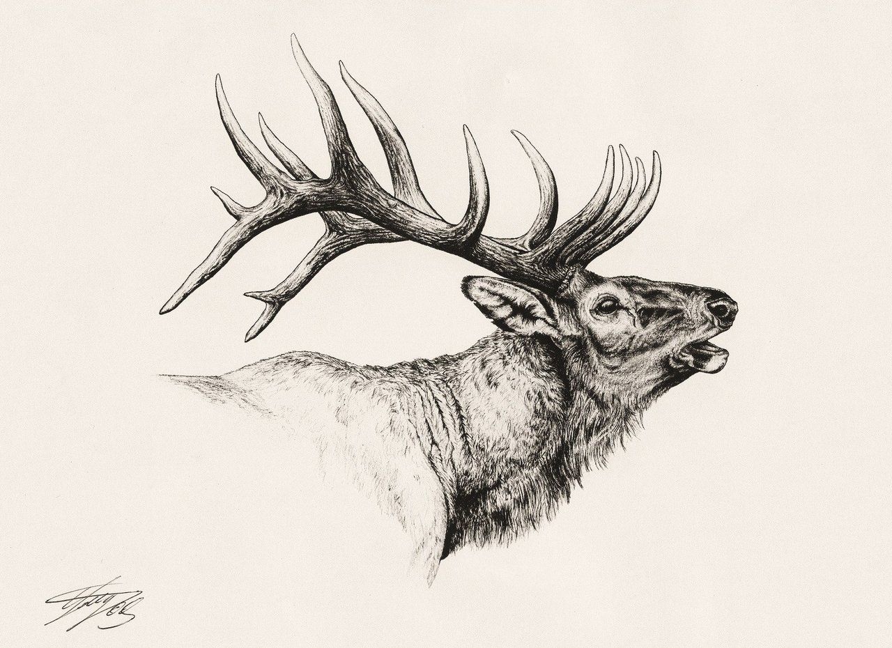 nature-inspired elk tattoo designs