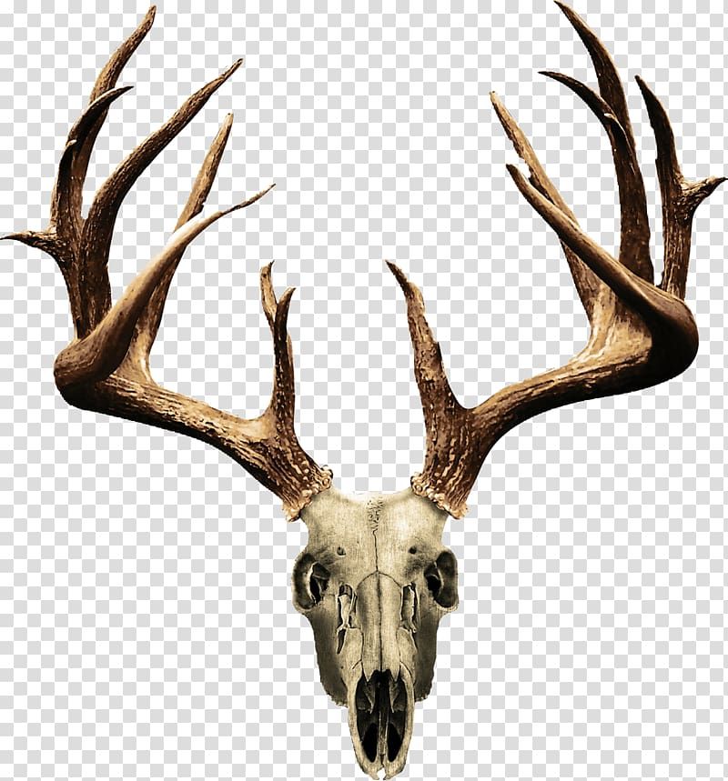 nature-themed deer hunting tattoo ideas