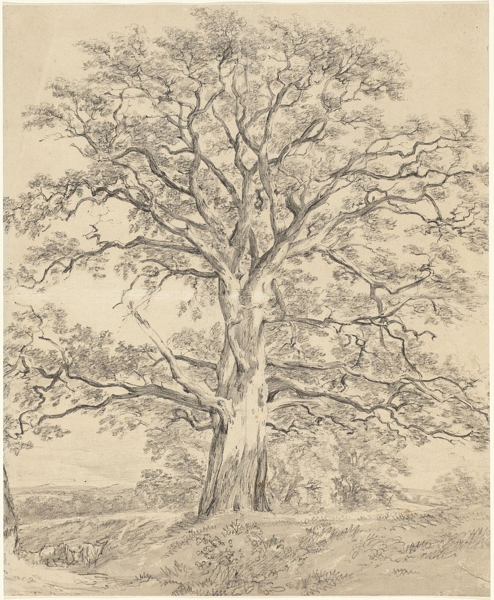 oak tree arm tattoo inspiration