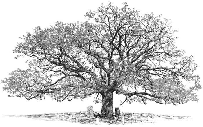 Oak Tree Tattoo Ideas 0010