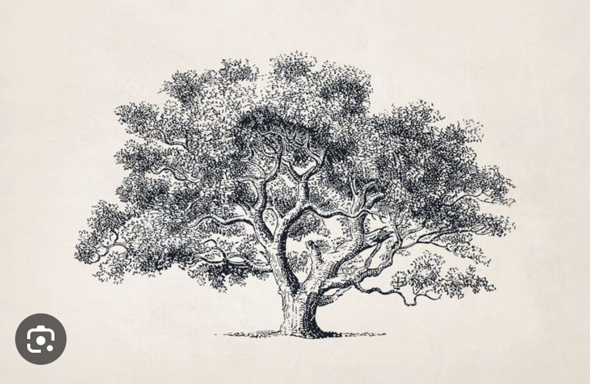 Oak Tree Tattoo Ideas 0019