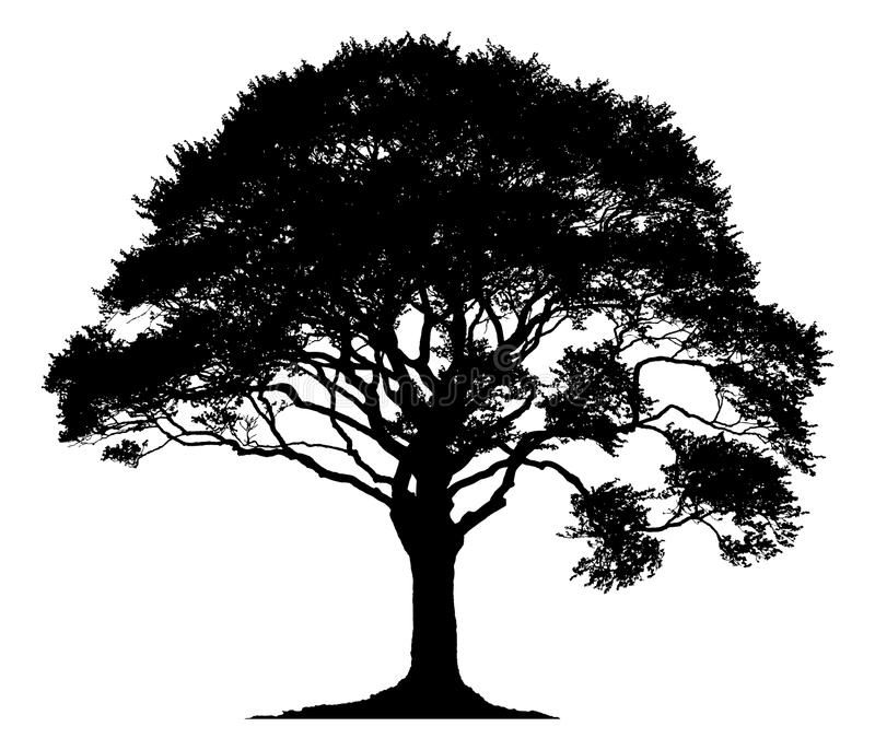 Oak Tree Tattoo Ideas 0020