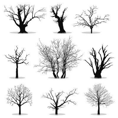 Oak Tree Tattoo Ideas 0059