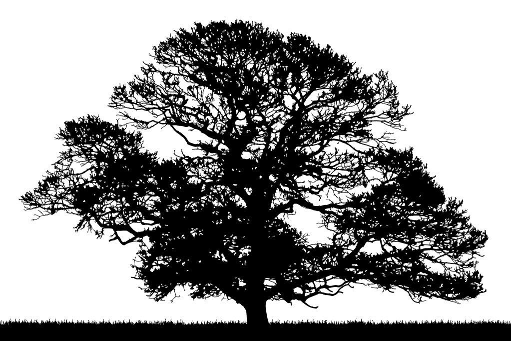 Oak Tree Tattoo Ideas 0066