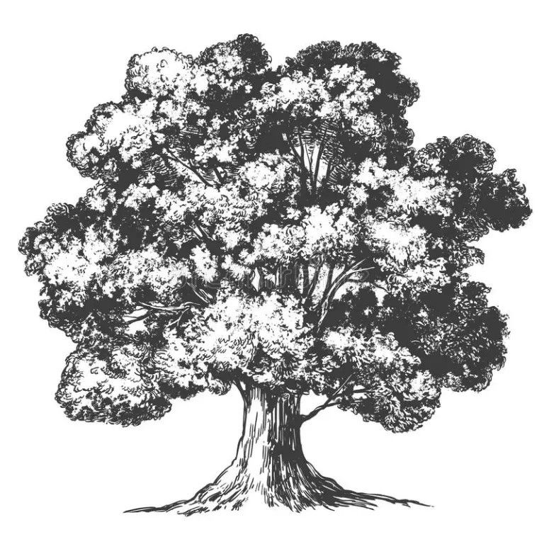 Oak Tree Tattoo Ideas 0069