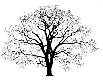 Oak Tree Tattoo Ideas 0086